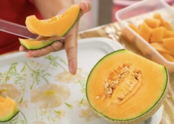 Kura me fara pjepri për rigjenerimin e veshkave – Si ta përgatisni dhe përdorni