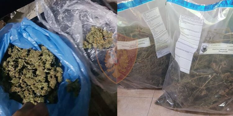Sekuestrohet 3 kg cannabis, arrestohet 21-vjeçari