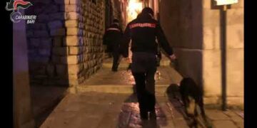 Tregtimi i drogës midis Sannicandro dhe Valenzano, arrestohet 20 vjeçari
