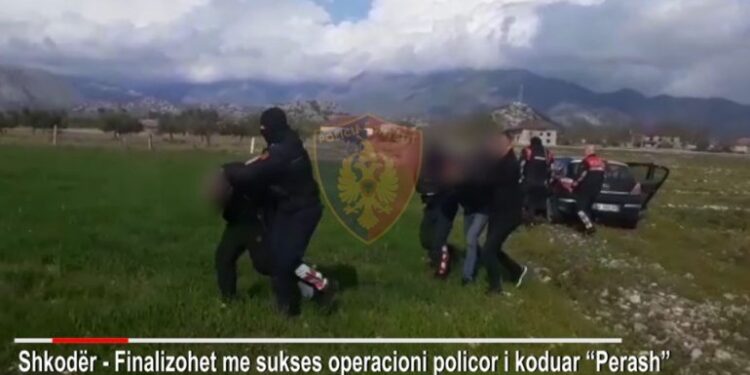 Shkodër/ Goditet banda kriminale, bien në pranga 4 të arrestuar (Emrat-Video)