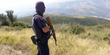 Mbi 100 forca policie dhe dronë, në kërkim të kanabis, arrestohet një 30 vjeçar në Fier