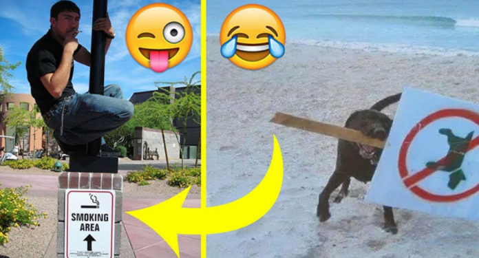 3 shenjat më kokëforta të horoskopit, u pëlqen të thyejnë rregullat dhe nuk pranojnë mendimin e askujt