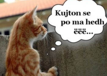 Njihuni me tre shenjat super vigjilente të horoskopit, nuk ka shans t’ua hidhni kurrë