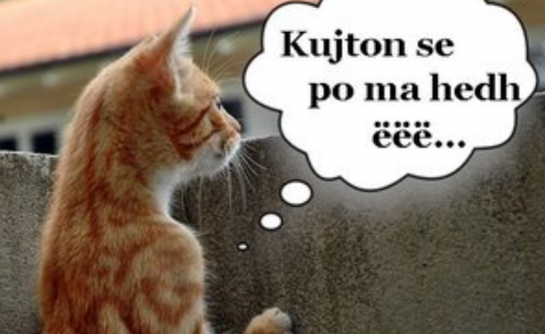 Njihuni me tre shenjat super vigjilente të horoskopit, nuk ka shans t’ua hidhni kurrë