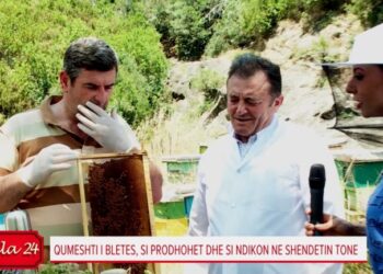 Qumështi i bletës, Ylli Merja sqaron vlerat që ka trajtimi i organizmit me këtë përbërës natyral