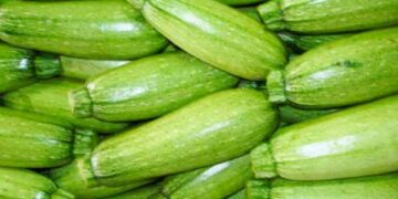 Tre llojet më të rëndësishme të ushqimeve për rënien nga pesha