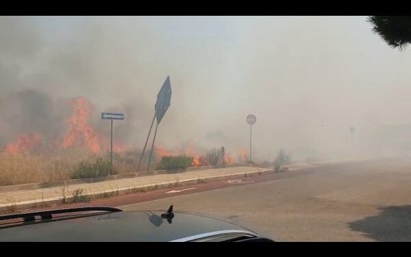 Zjarr në zonën Lama Balice në San Paolo, era sjell flakët në Parco dei Principi