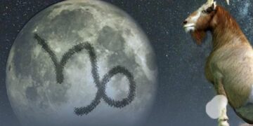 8 arsye pse Bricjapët janë njerëzit më të mirë që mund të keni në jetë