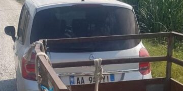 “Keqtrajtimi i kafshëve”, policia proçedon penalisht 50 vjeçarin, tërhoqi pas makinës qenin e tij