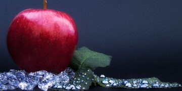 Zbuloni mëkatin e Dashit, Demit dhe Binjakëve