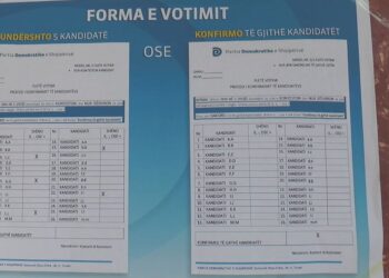 Demokratët e Durrësit, votojnë kandidatët për deputet të propozuar nga anëtarësia