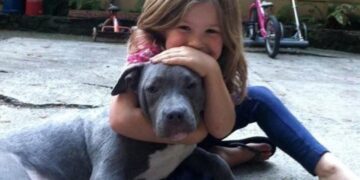 21 Adorable Photos that Show Pit Bulls Just Want to Give Love and Be Loved