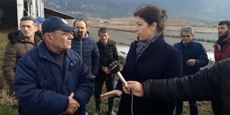 Pas 10 ditësh, tokat akoma të përmbytura në Lezhë, banorët: Me këtë qeveri po bëjmë vetëm indietro