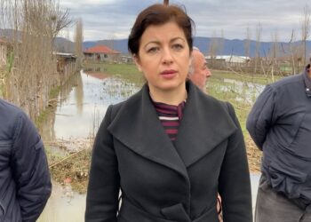 PD denoncon nga zonat e përmbytura në Lezhë e Mamurras: 3 mijë e 500 hektarë nën pushtetin e ujit