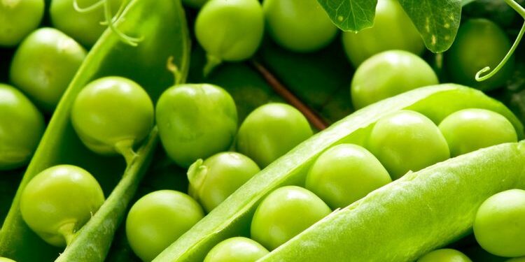 Ushqimet Pranverore që Ju Dobësojnë – Këshilla të Shëndetshme Për një Trup Perfekt