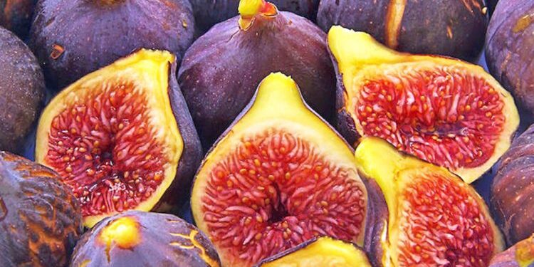 Fruta Me Stomak Bosh – Cilat Duhet Të Zgjidhni Dhe Pse