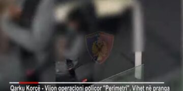 Arrestohet një 38-vjeçari pasi transportonte emigrantë të paligjshëm, “1 mijë euro t’ju kaloj jashtë kufirit”