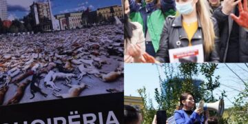 Krimi makabër ndaj qenve endacakë paditet në SPAK! Prestigjozja  “Corriere della Sera”  shkruan për kauzën që bëri jehonë në Shqipëri