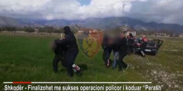 Shkodër/ Goditet banda kriminale, bien në pranga 4 të arrestuar (Emrat-Video)