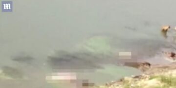 Indi pamje shokuese/ Trupat e të vdekurve nga Covid hidhen në lumë