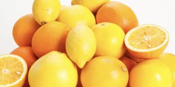 Këshillat më të Mira në Betejën kundër Plakjes së Lëkurës