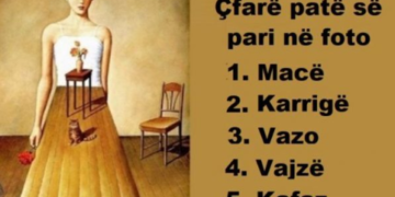 Pse njerëzit ju duan? Ajo që shihni së pari në foto do të zbulojë përgjigjen!